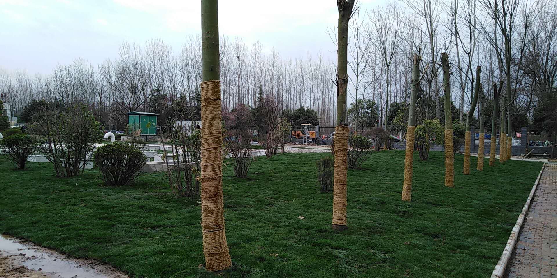 6、平輿縣一高地埋式污水處理2